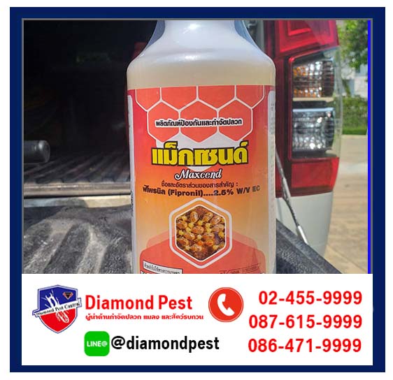 diamondpest