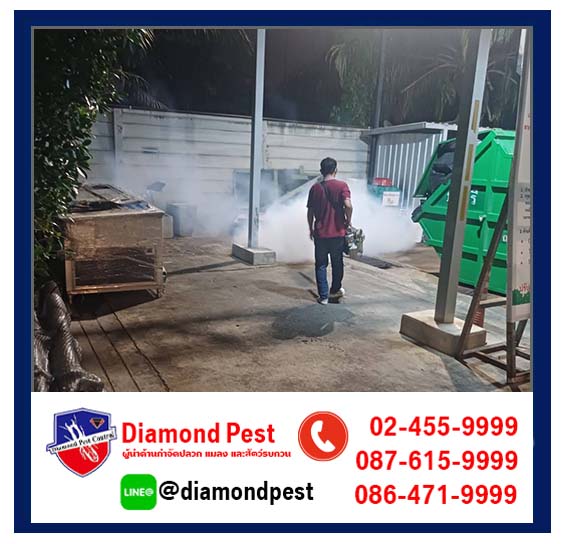 diamondpest